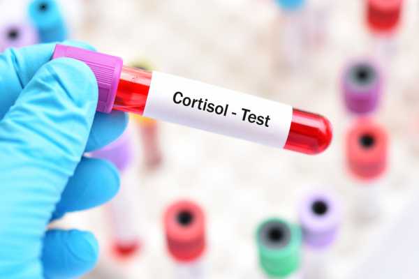 Por que técnicas respiratórias reduzem o cortisol segundo pesquisadores de Harvard